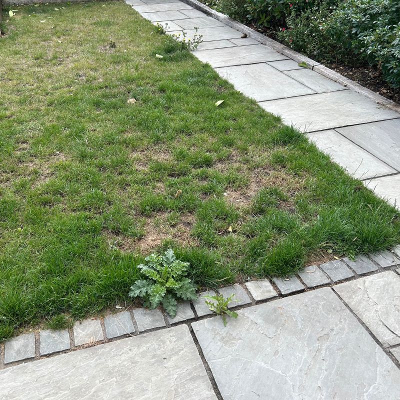 Vonhaus Cordless Lawn Mower 40V - before photo of lawn