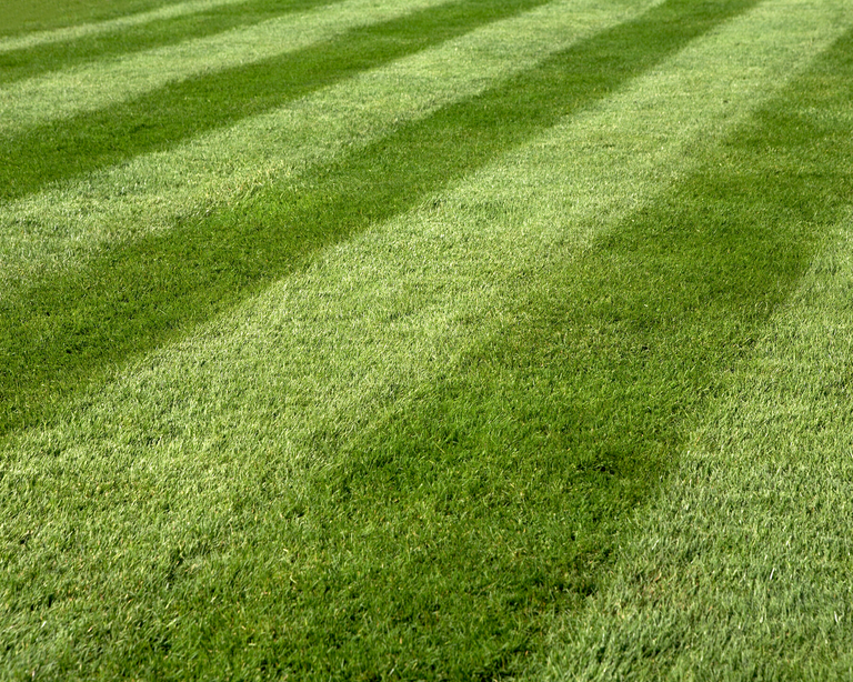 Expert reveals tip for perfect lawn stripes | Gardeningetc