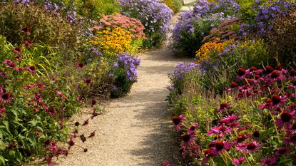 gravel path leading through garden borders in early autumn