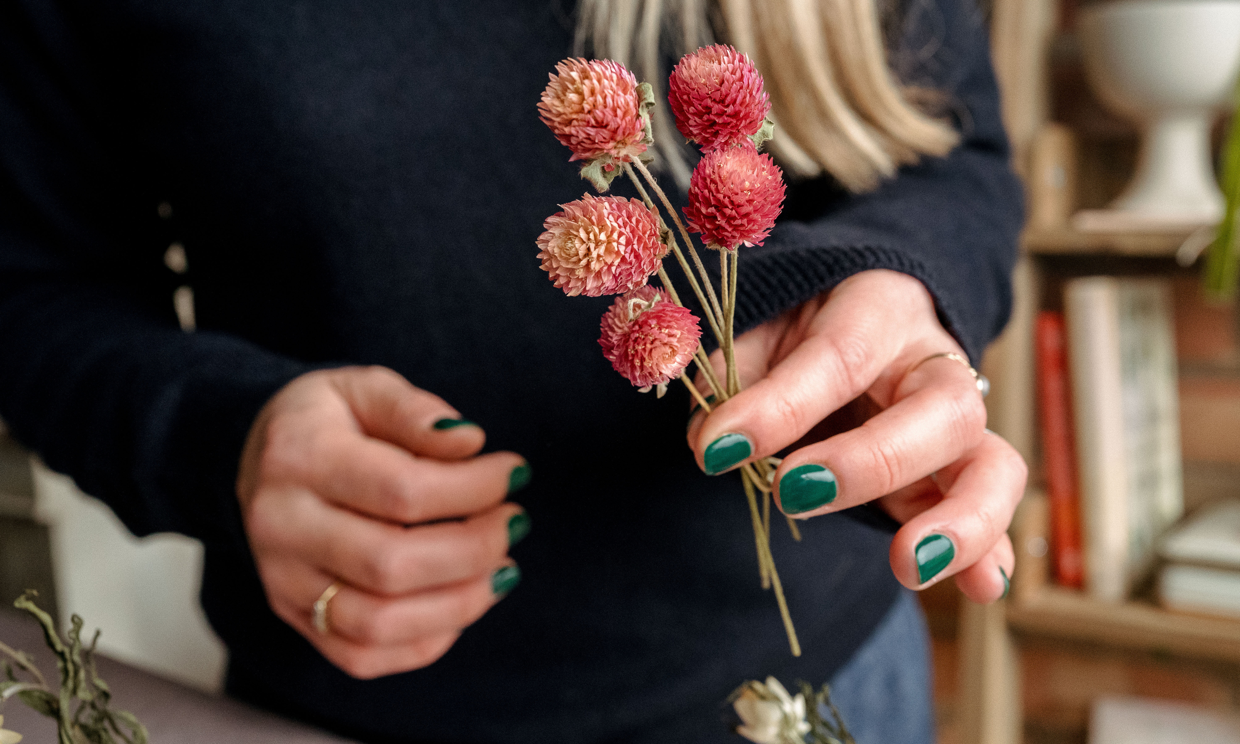 Hands holding pink dried globe amaranth flower stems