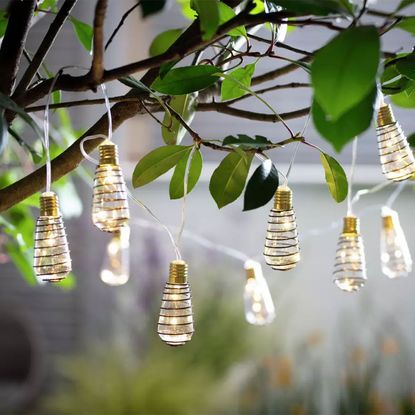 Habitat 10 Warm White Wire Wrap LED Solar String Lights
