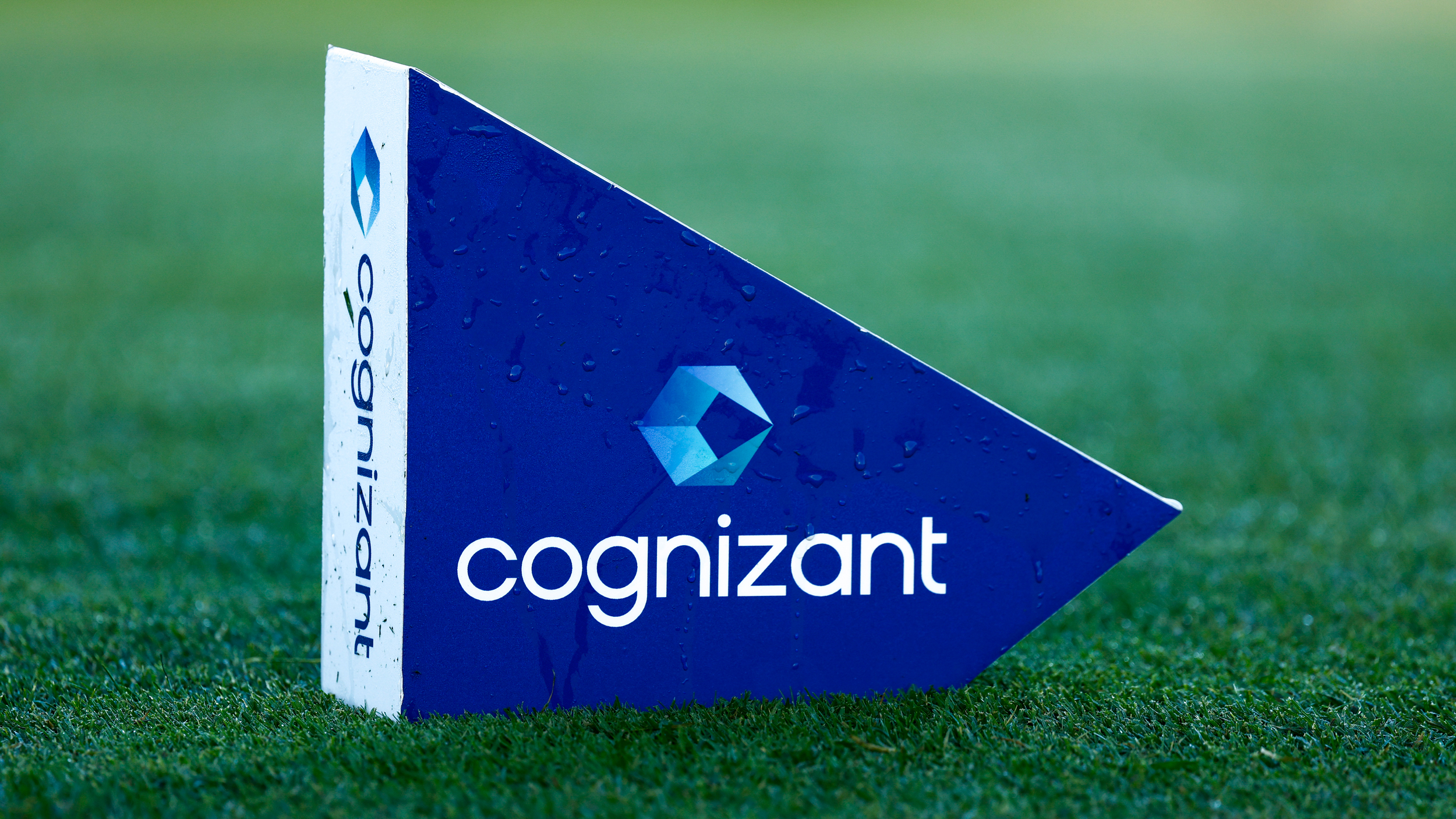A blue Cognizant-branded tee marker seen at the PGA Tour's Cognizant Classic in the Palm Beaches tournament