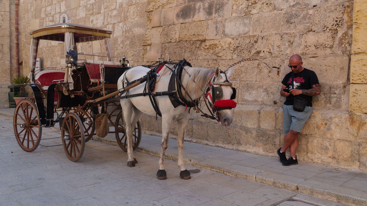 Panasonic Lumix L10 image gallery: man besides his horse and cart in an old alleyway in Valetta, Malta