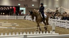 London Horse Show: Pippa Funnell riding Billy Kodak in her masterclass