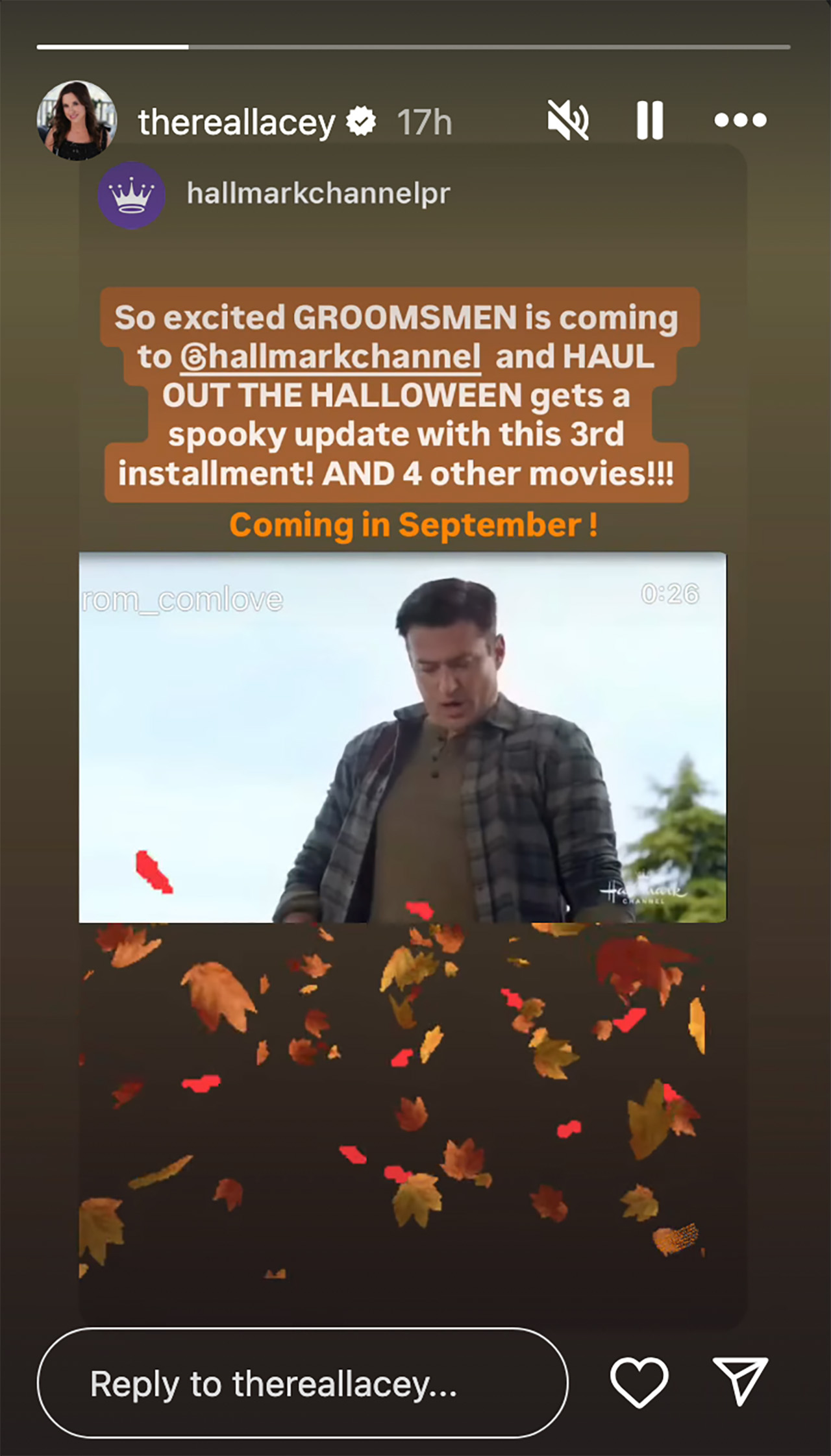 Lacey Chabert's IG story