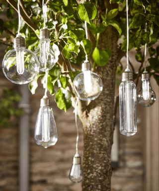 SOLAR VINTAGE STYLE BULB STRING LIGHTS hanging in tree in daylight