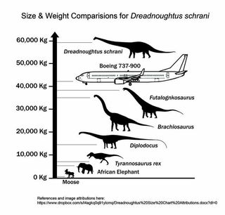 Dreadnoughtus schrani is larger than any other super-massive dinosaur for which mass can be accurately calculated.