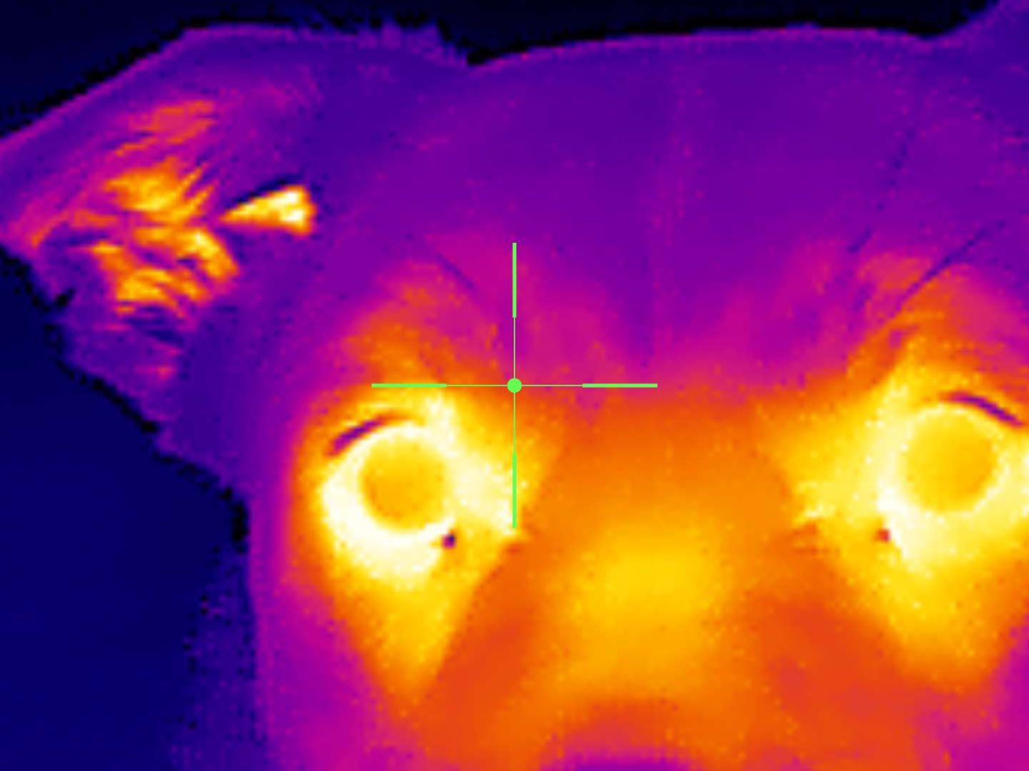 Xinfrared One XH09 captures