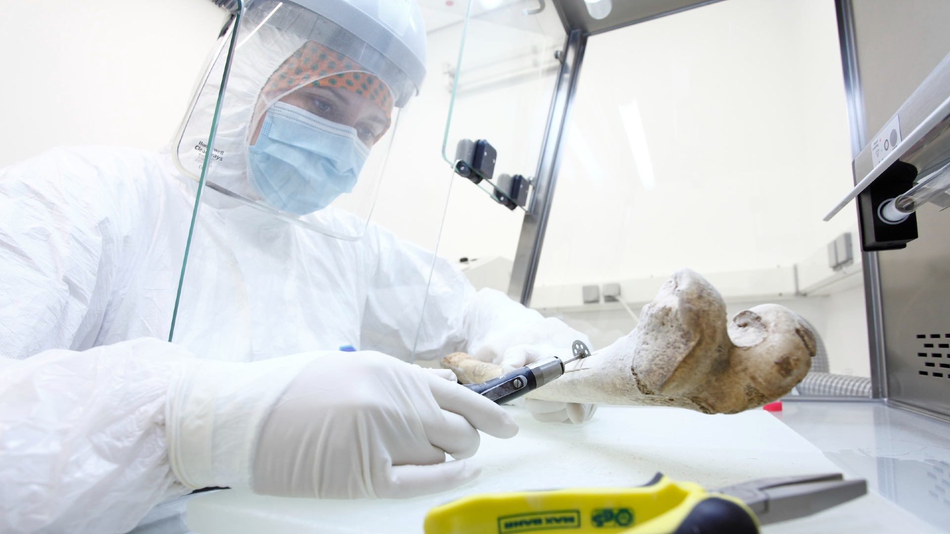 A person wearing a white hazmat suit has their hands in a glass clean box and holds a long white bone.