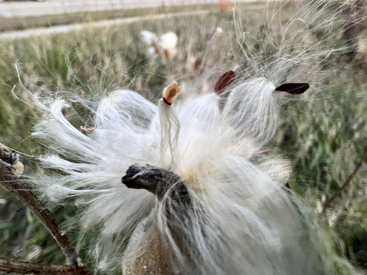 iPhone 13 Pro camera sample