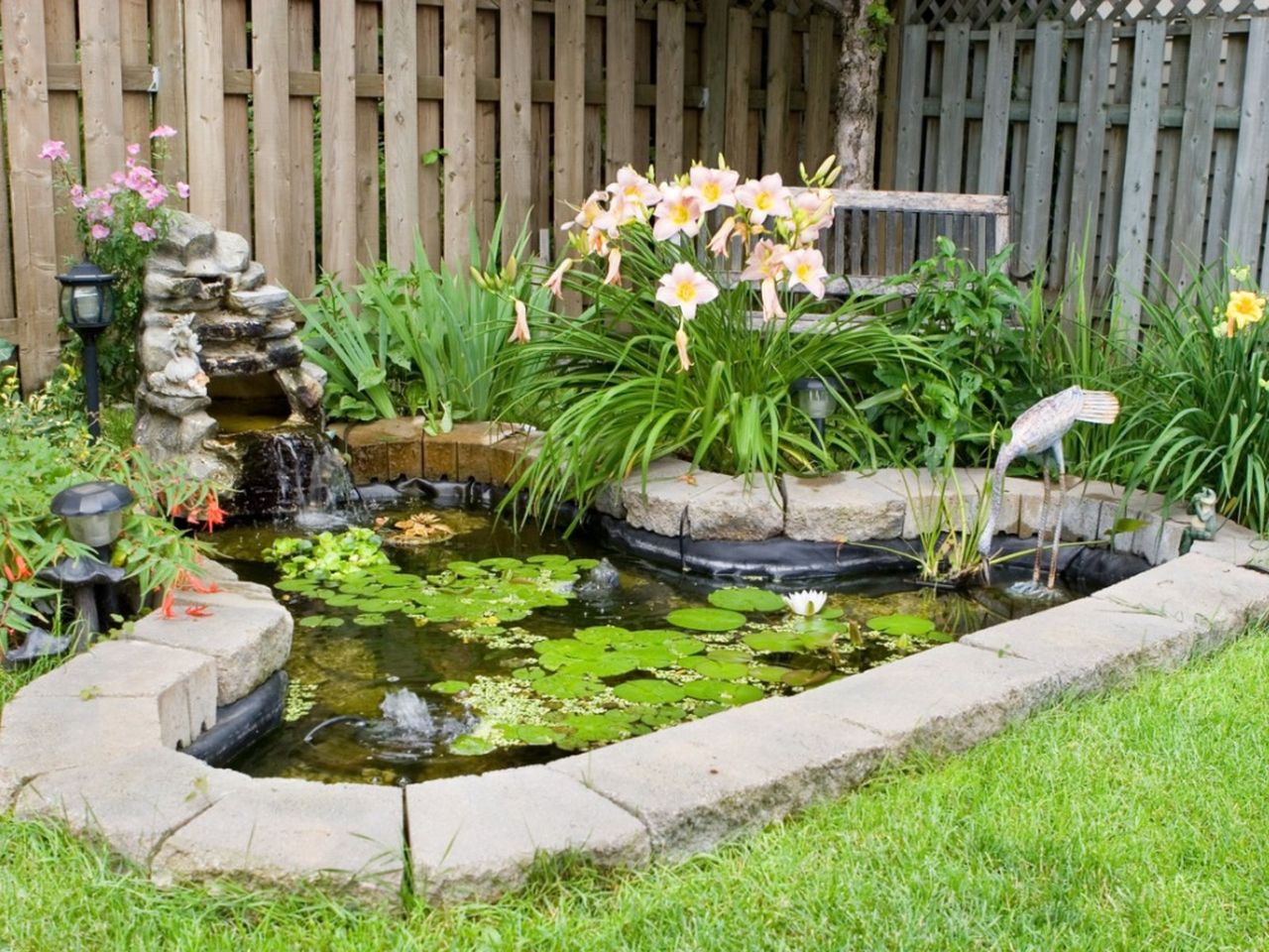 Miniature Pond In Garden