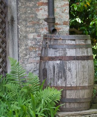 wooden rain barrel in a garden