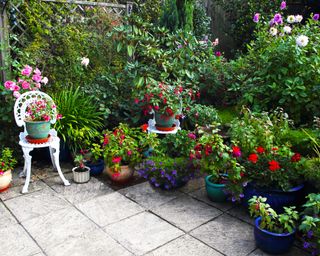 An English container garden with many pots