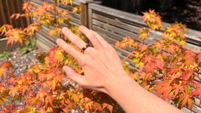 Grace Walsh wearing Oura Ring 5