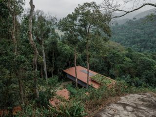 casa quinta by arquipelago, a wooden house on stilts above the rainforest canopy engulfed in greenery and open to nature