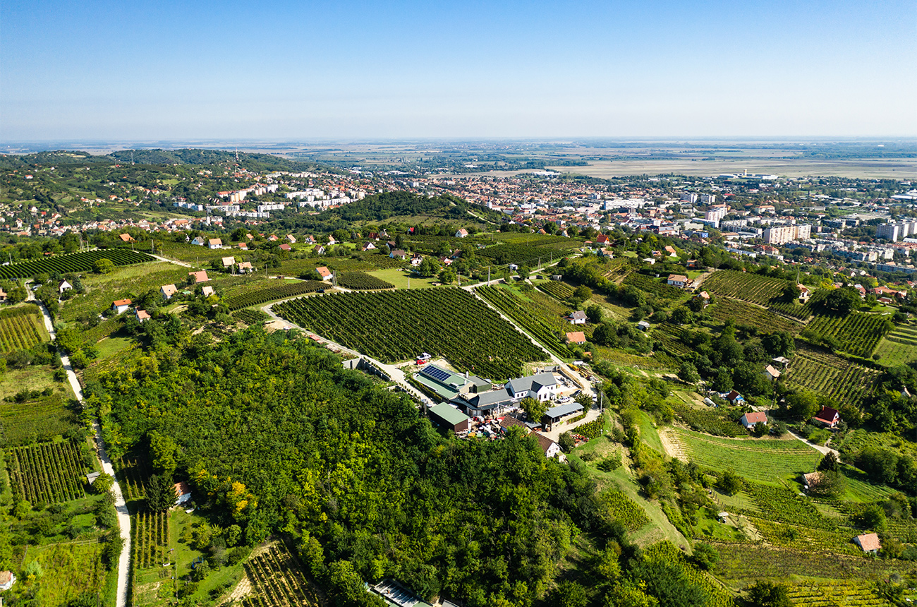 The Szeksz&amp;aacute;rd wine district