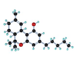 Tetrahydrocannabinol THC Oils