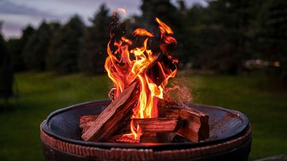 Backyard fire pit 