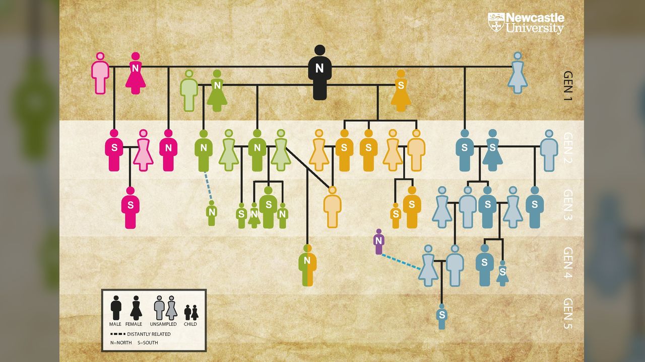 The genetic analysis shows that five generations of one family, descended from one man and four women, were buried in the two tomb chambers of the Hazleton North barrow.