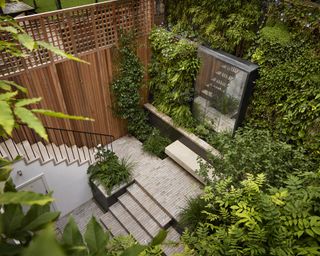 A small coutryard garden with deep loping steps and high fence