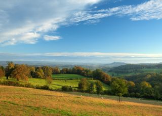 Summer's evening in a rural Cotswold landscape with space for copy.