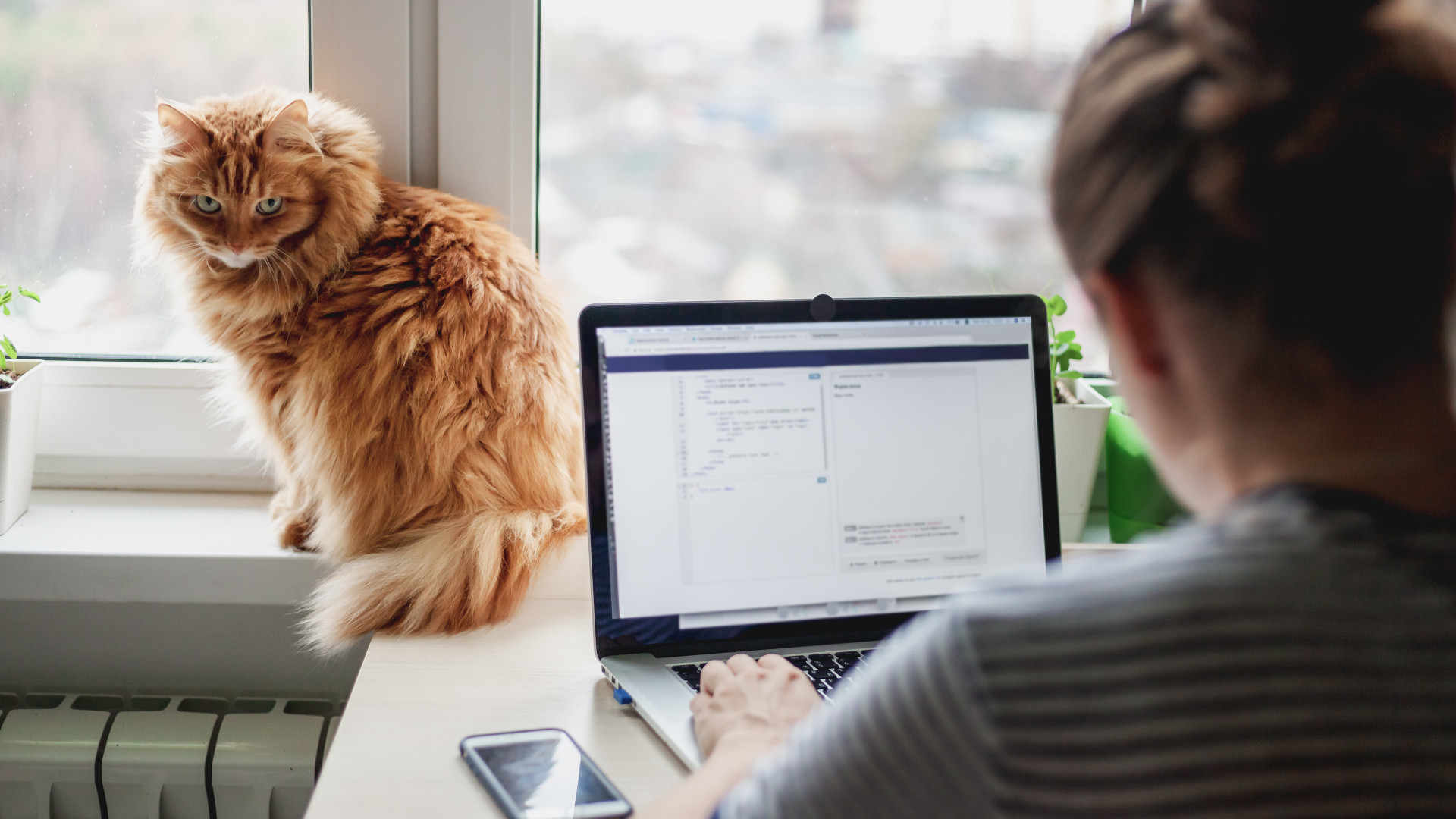 Wanita yang sedang mengerjakan laptop Windows 10 sementara kucingnya melihat ke arahnya dengan tidak setuju.  Ponselnya juga ada di atas meja.
