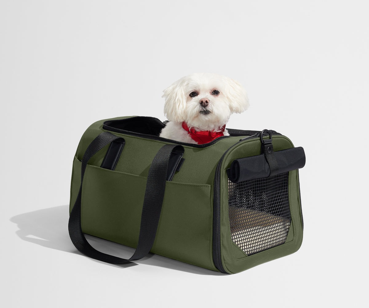 The Pet Carrier in Olive Green