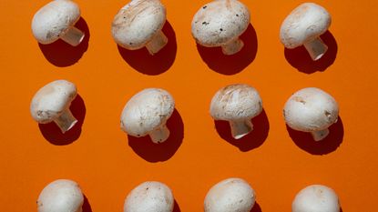 mushrooms on orange background