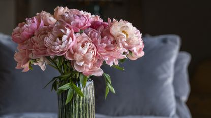 Coral Charm Peonies, Peony style tips