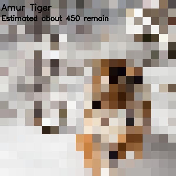 Pixelated images of endanger species