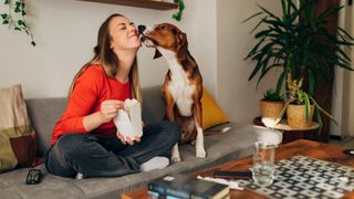 Eating take-out meal with dog