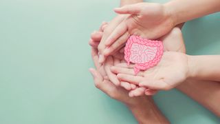 A selection of hands holding a gut diagram 