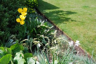 A flowerbed and lawn divided by a metal EverEdge border