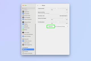 A screenshot showing how to disable mouse acceleration on Mac