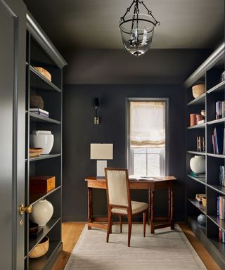 dark color-drenched home office