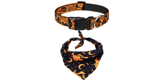 Best Halloween dog collars: Taglory Halloween Dog Bandanas and Collars