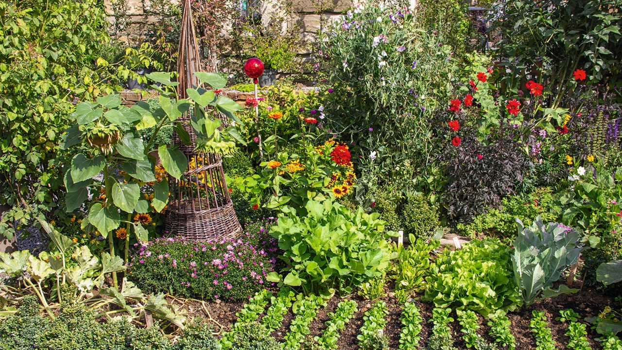 A vegetable garden full of crops and flowers