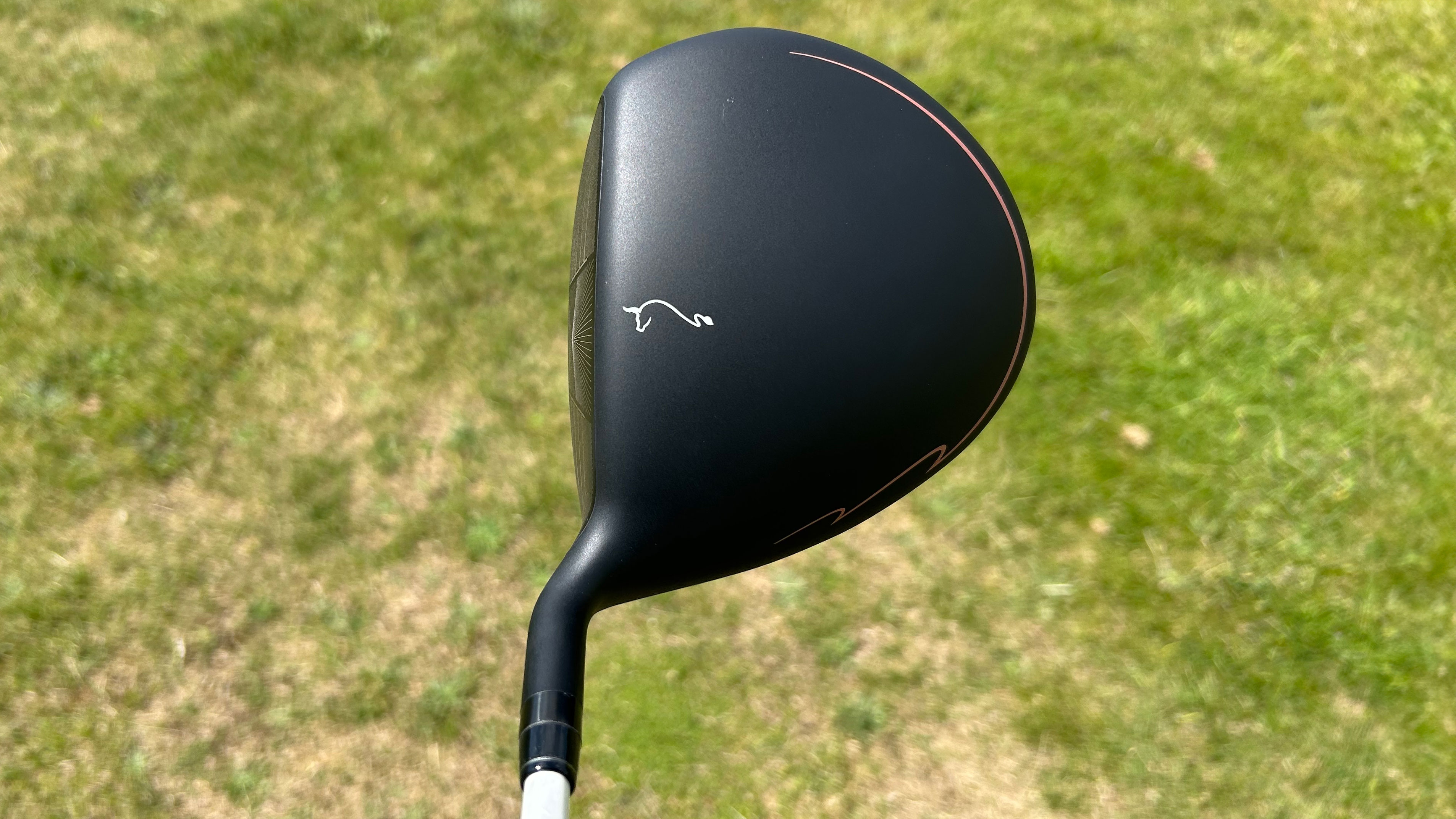 Photo of the Oximity driver in the playing position