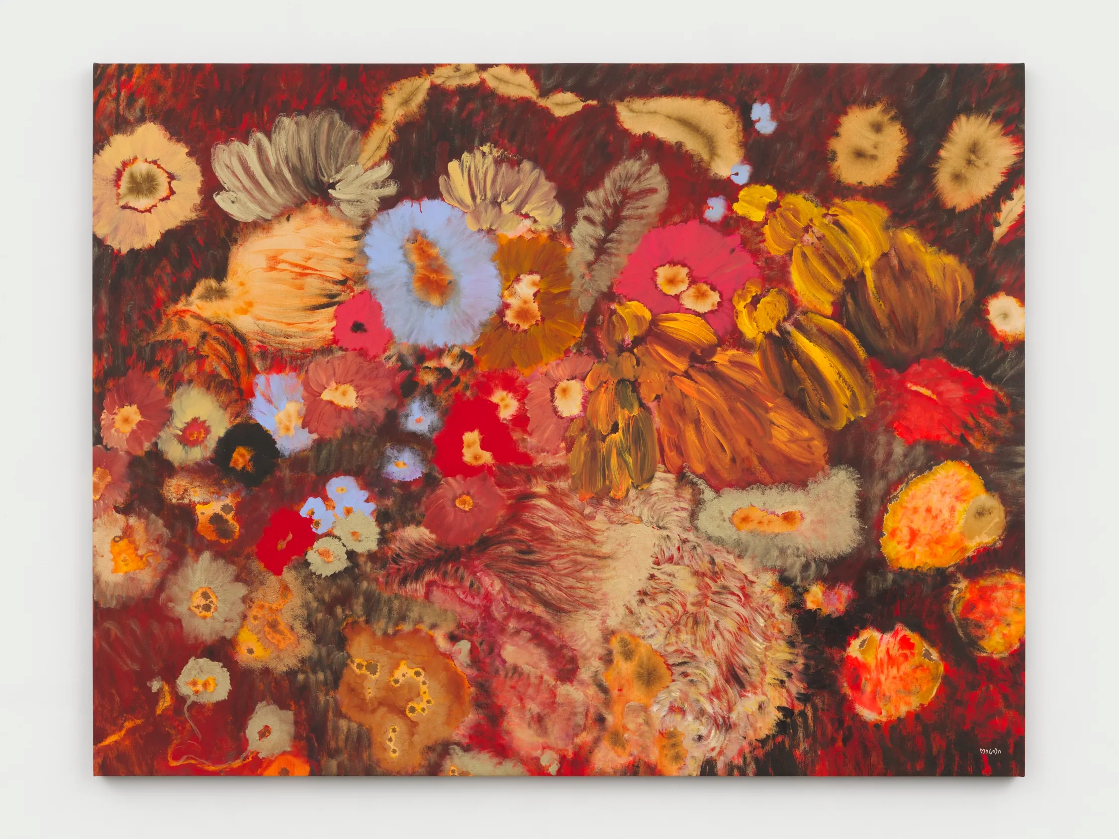 Ileana Garc&amp;iacute;a Magoda: In the Body of Light