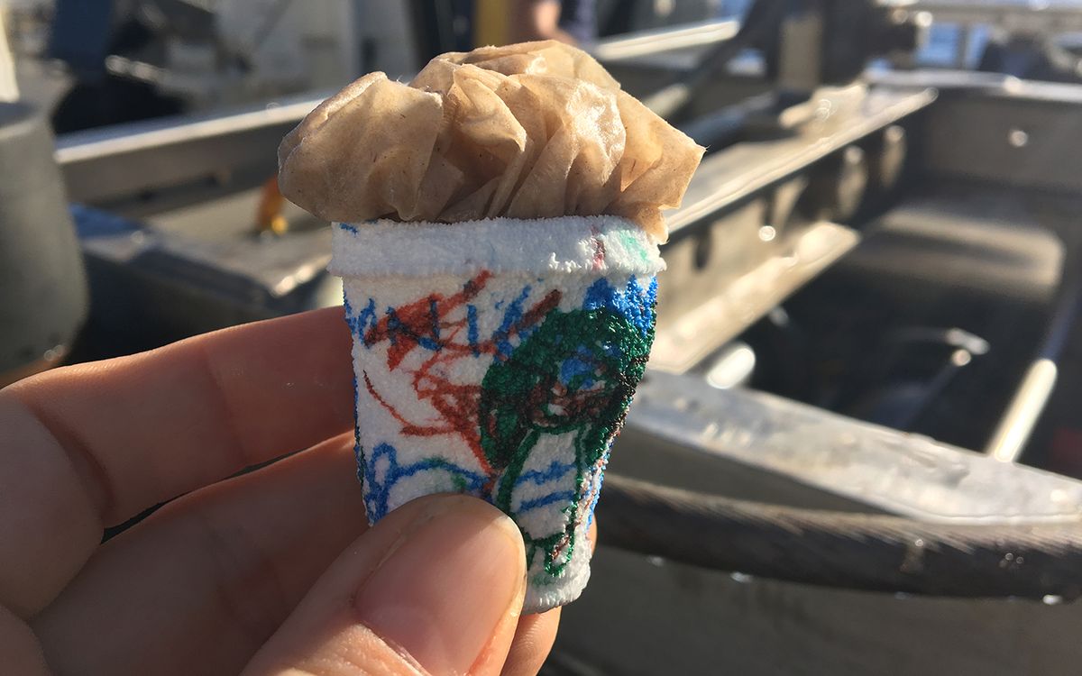 Here's What Happens to a Styrofoam Cup Under the Deep Sea's Crushing