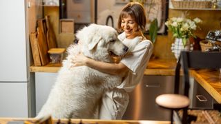 A great Pyrenees dog places their front paws on the shoulders of a smiling woman