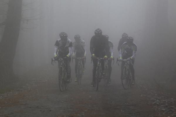 Geoxs in the mist