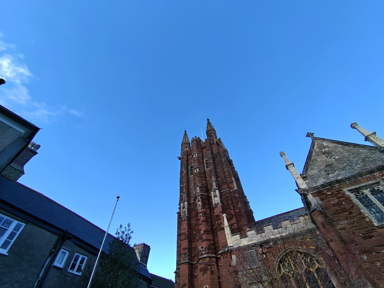 An iQOO 11 camera sample