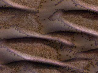 Dark wavy sand dunes with purple blotches along the top of the folds