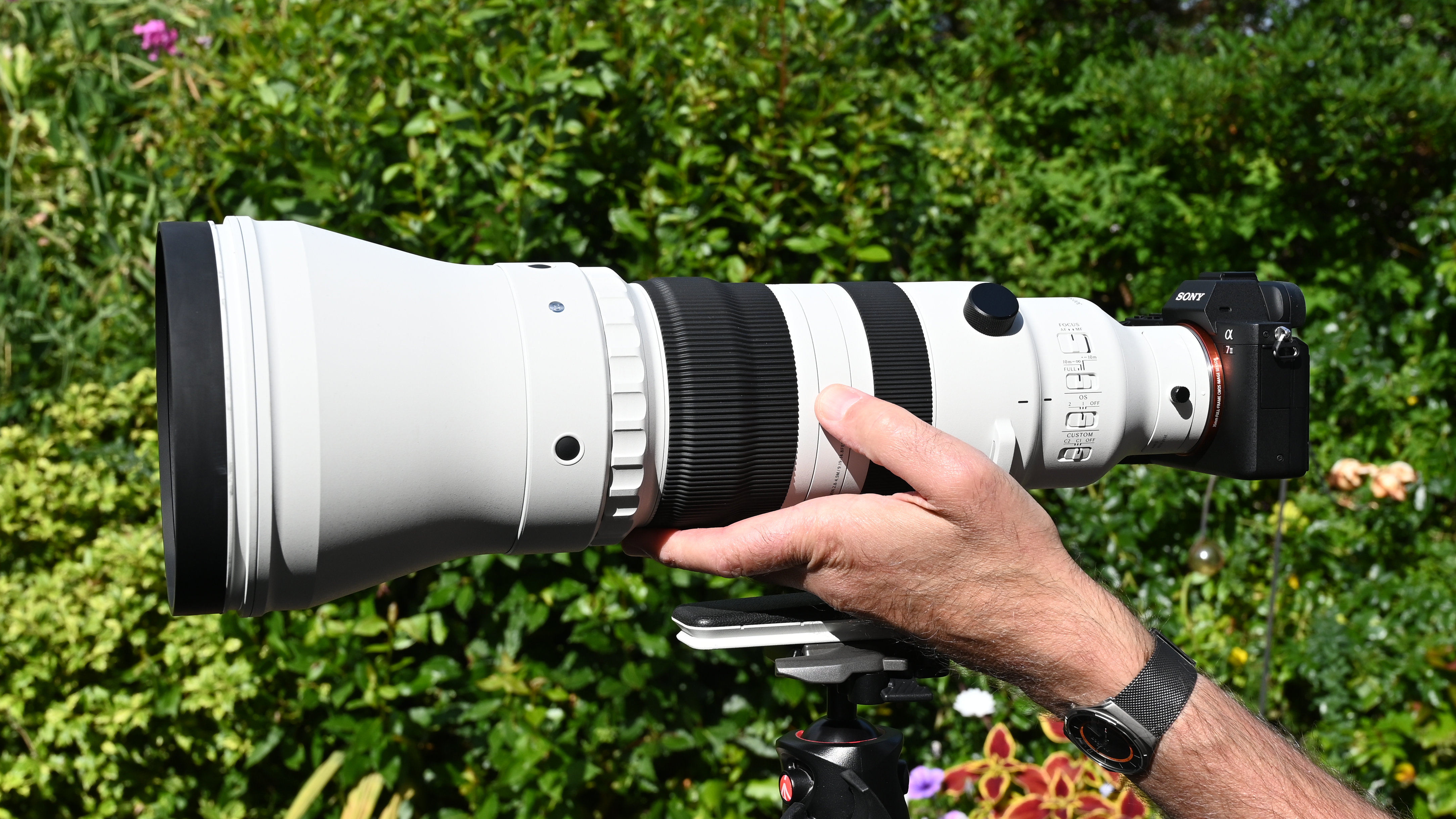 Sigma 300-600mm f/4 DG OS Sports