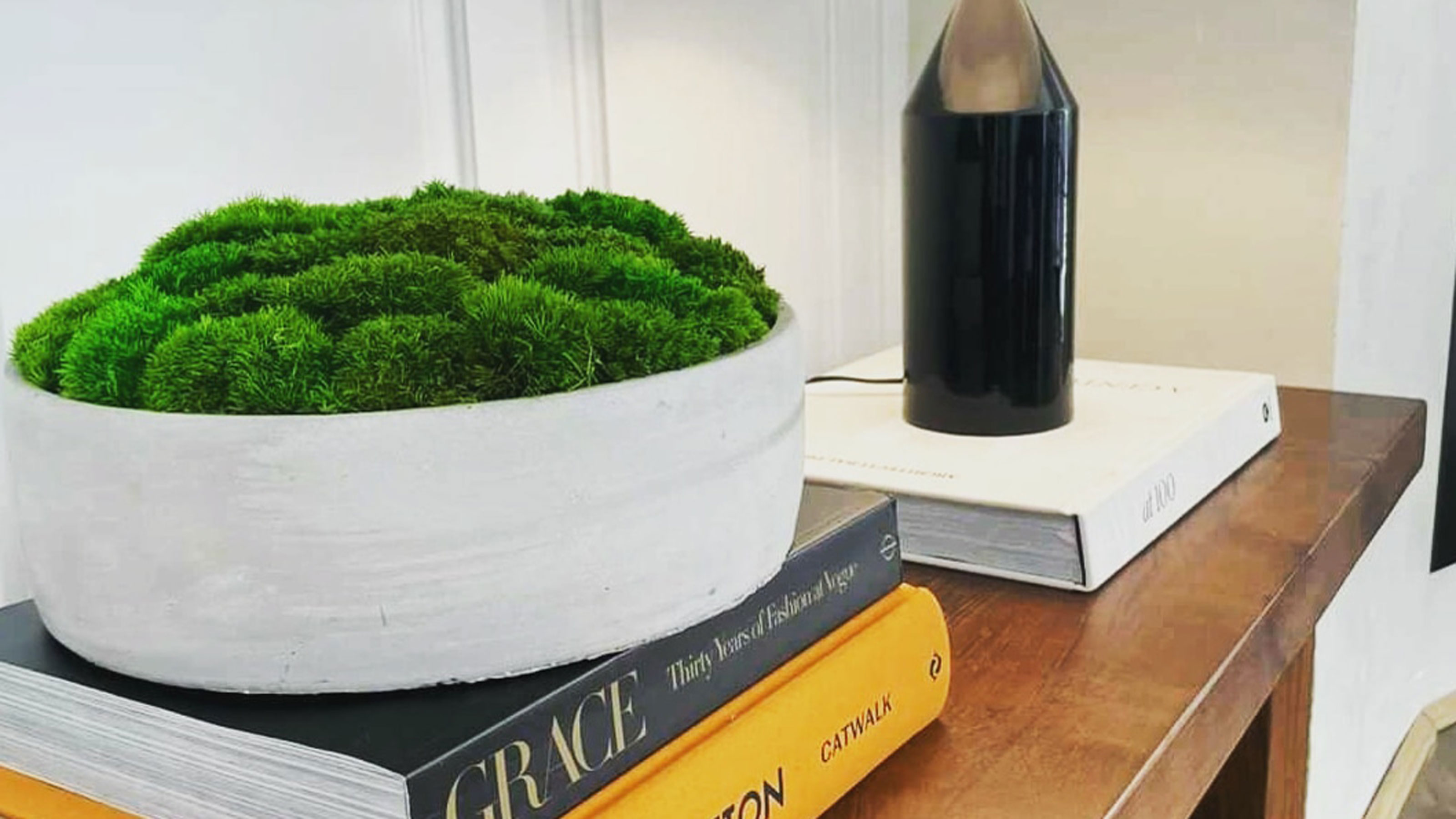 Moss bowl trend - everything you need to know
