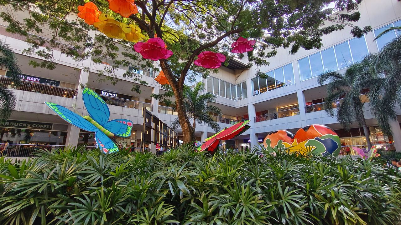 Vivo V27 Pro sample shot