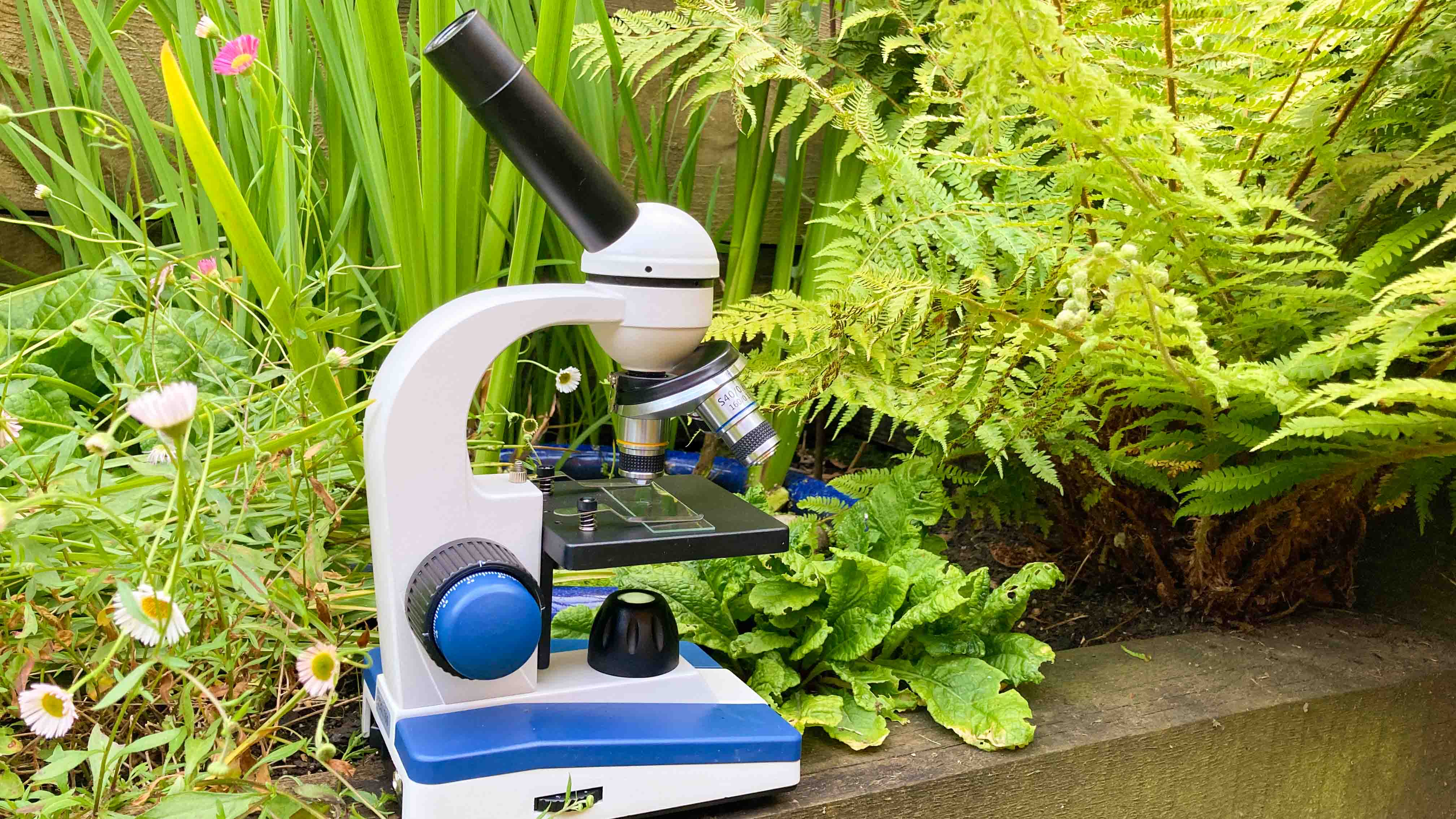 Microscope placed on a wooden sleeper next to a small pond outside