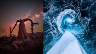 A diptych displays two contrasting landscape photographs: on the left, a bulbous bottle tree under a starry, red-tinged night sky, and on the right, an aerial view of an iceberg meeting dark blue ocean water that swirls into a foamy spiral.