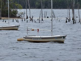 iPhone 13 Pro max review